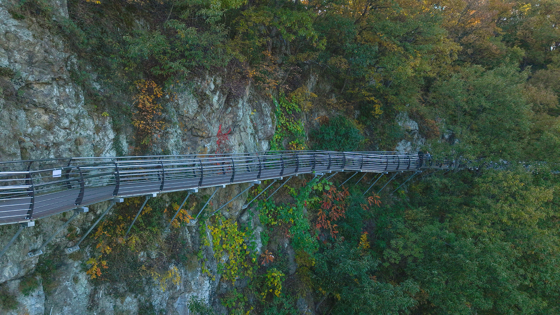 용두산생태공원